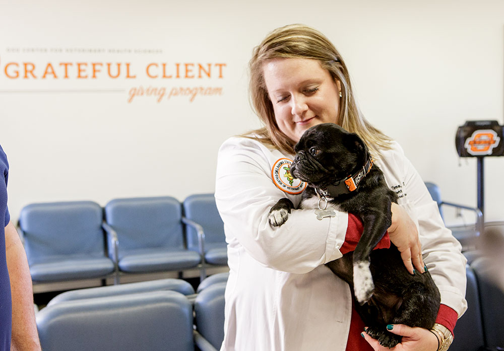 veteerinarian and dog