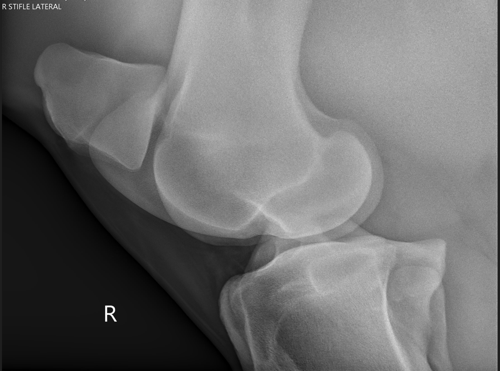 imagining euipment imagining equipment