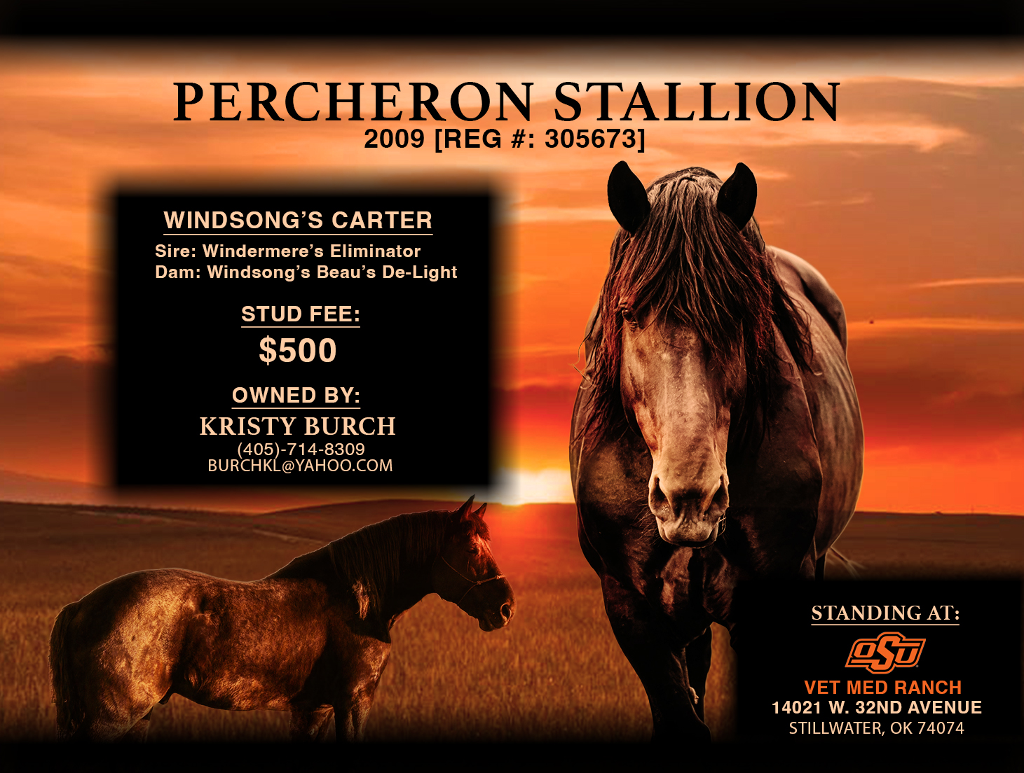 Windsong's Carter CVM stud